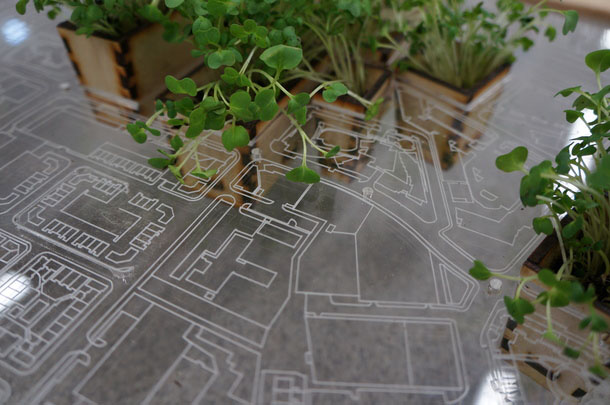 City map etched into a glass table with plants on