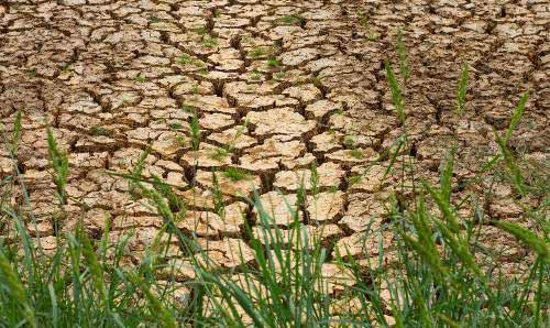 cracks in the ground in a area with drought