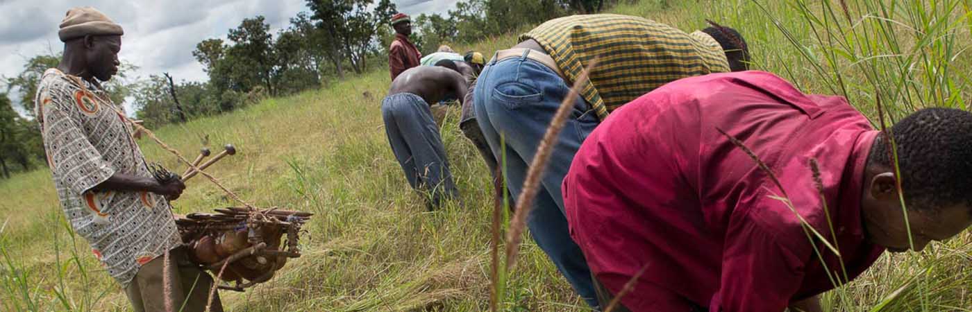 Workers in a field